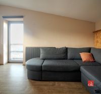 Living room with a dark gray sofa, armchair, and wood-patterned flooring in a family house.