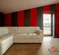 White sofa, exercise equipment, wooden-patterned floor, striking red and black walls.