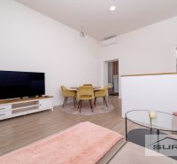 Living room in a 2-room apartment with a television, couch, and wooden decor flooring.