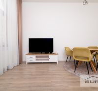 Living room with a table and television, floor with wooden decor, 2-room apartment.