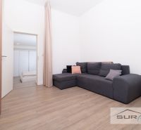 Living room in a two-room apartment with a dark gray sofa and a wooden decor floor.