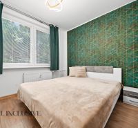Bedroom in a 2-room apartment with a bed and a decorative green wall.