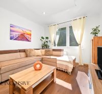 Bright living room in a two-room apartment with a comfortable sofa and wooden decor flooring.