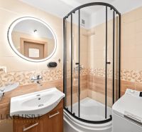 A bathroom in a 2-room apartment with a shower, sink, and washing machine.
