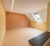 Attic room with wood-patterned flooring and a skylight in a family house.