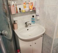 A bathroom in a studio apartment with a sink, mirror, and shower corner.