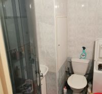 A bathroom in a studio apartment with a toilet, shower, and washing machine.