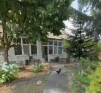 A family house in Imel with tall trees, a walkway, and a garden where a dog is running.