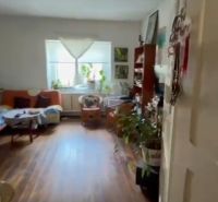 A room in a family house with a wooden decor floor and lots of plants.