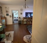 Living room in a family house with a wooden decor floor and dogs.