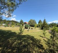 A garden at a family house in Čaradice with a view of trees and a blue sky.