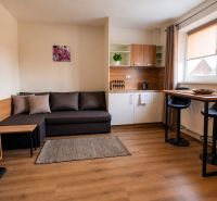 Living room in a family house with a sofa, kitchenette, and wooden decor flooring.
