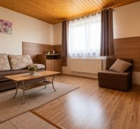 Living room in a family house with a sofa, wood-patterned flooring, and a television.