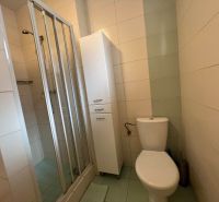 A bathroom in a family house with a toilet, shower, and cabinet.