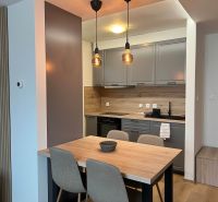 A kitchen with a wooden floor, gray cabinets, and a table in a family house.