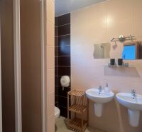 A bathroom in a 2-room apartment with two sinks and a shower.