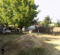 A garden with wooden pallets and trees near a cottage in Nové Zámky on the Pumpkin Field.