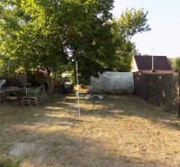 A garden with a cottage on Pumpkin Field in Nové Zámky, surrounded by wooden pallets and a tree.