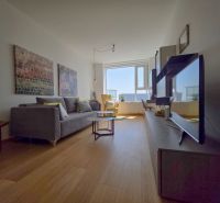 Living room in a studio apartment with a wooden floor design and a sofa.