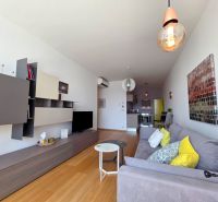 Living area of a studio apartment with a sofa, decorative cushions, and a wooden-patterned floor.