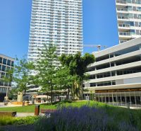 Bratislava - Staré Mesto, Landererova: A taller residential building with a children's playground and greenery in the foreground.