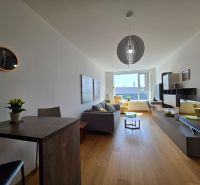 Living room in a studio apartment with wood-patterned flooring, a television, and a sofa.