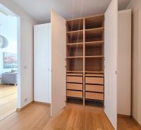 1-bedroom apartment with a spacious walk-in closet and wood-patterned flooring.