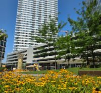 A flower garden in front of a high-rise building in the Bratislava district of Staré Mesto.