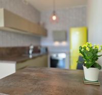 A kitchen in a studio apartment with a plant and a yellow refrigerator.