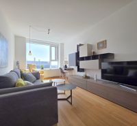 Living room in a studio apartment with wood-patterned flooring and comfortable seating.