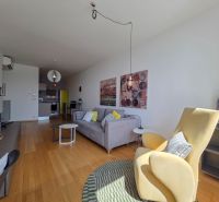 Living room with wood-patterned flooring, a sofa, and a cream armchair in a studio apartment.