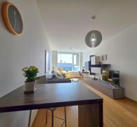 A stylish living area with wood-patterned flooring in a studio apartment.