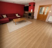 Living room in a family house with a red wall, fireplace, and wood-patterned floor.