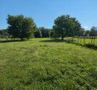 A grassy plot in Liptovské Kľačany with a wooden shed and trees.