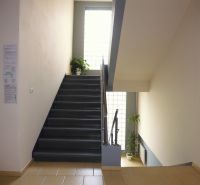 A staircase with a large window and greenery in the offices.