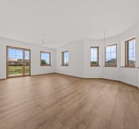 A spacious room in a family house with a wood-patterned floor and large windows.