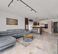 Living room in a family house with a comfortable sofa, kitchen, and wooden decor flooring.