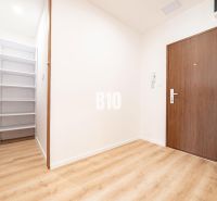 Entrance hallway of a 3-room apartment with a wood-patterned floor and a built-in wardrobe.