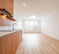 A kitchen in a 3-room apartment with a wooden decor floor, minimalist design.