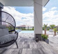 A family house in Nitra with a terrace, a swimming pool, a rattan chair, and palm trees.