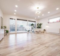 Bright living room with wood-patterned flooring, large windows, and plants.