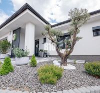 A family house in Nitra with a landscaped garden, ornamental shrubs, and stone design.