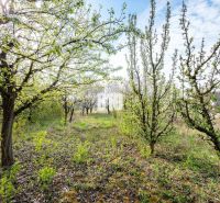 Greenery and trees on a plot near Nitra suitable for living.