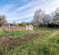 Plots - housing in Nitra with blossoming trees and a fence in a natural environment.