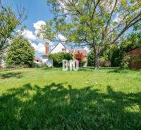 A garden of a family house in Nitra with a lawn, trees, and a wooden house in the background.