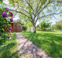 A garden of a family house in Nitra with a wooden house and flowers.