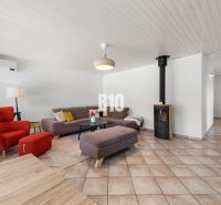Living room in a family house with a fireplace, a red armchair, and a gray sofa.