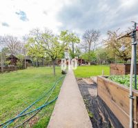A garden in a family house in Nitra with a walkway, greenery, and raised beds.