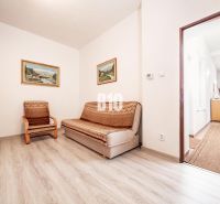 A room in a family house with a sofa, an armchair, and a wooden decor floor.