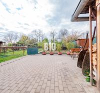 The courtyard of a family house in Nitra with a paved terrace, greenery, and a woodshed.